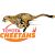 Toyota Cheetahs Logo